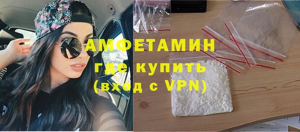 молекула духа Ельня